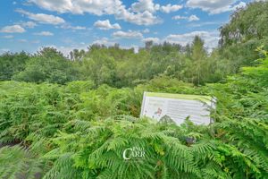 Outlook- click for photo gallery